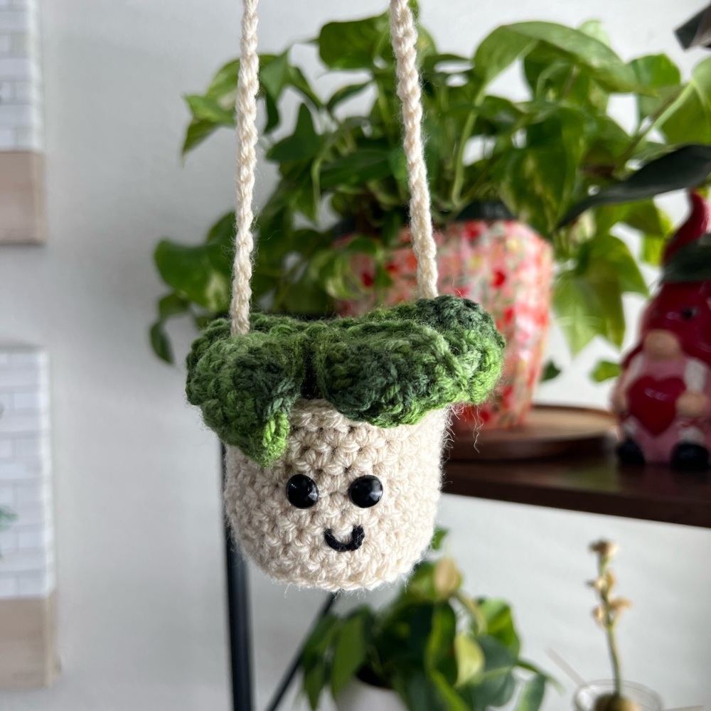 Handmade 🪴 mini hanging plant